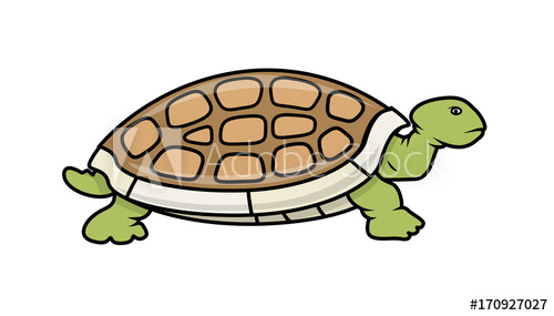 Tortoise Vector at Vectorified.com | Collection of Tortoise Vector free ...