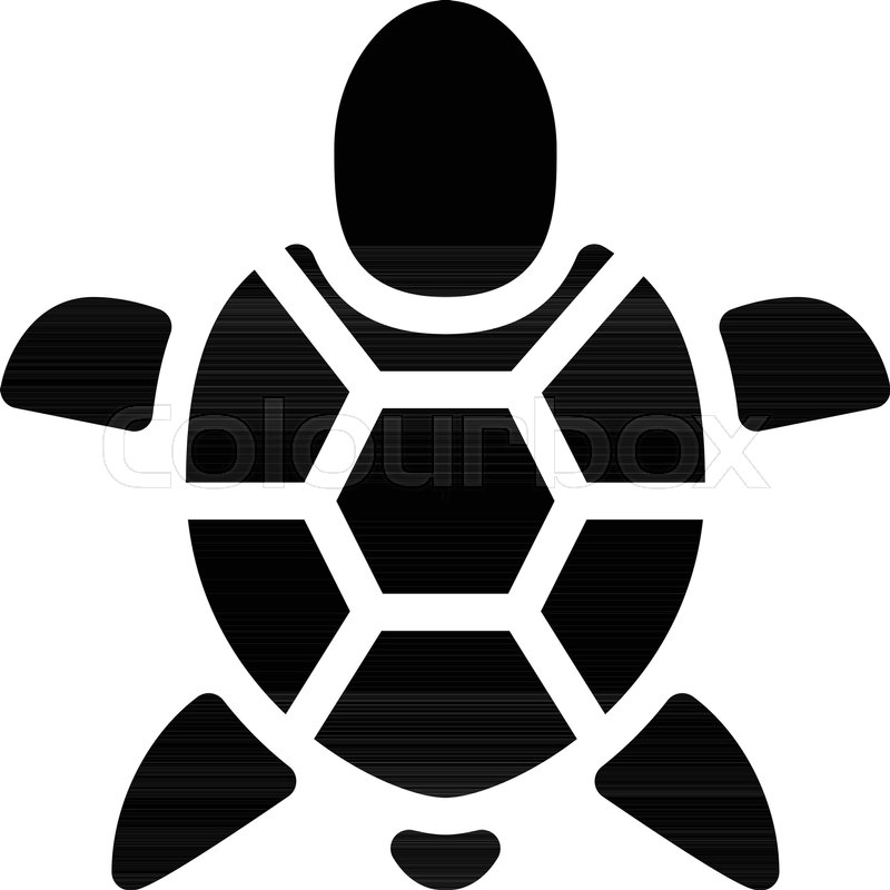 800x800 Turtle Or Tortoise Stock Vector Colourbox
