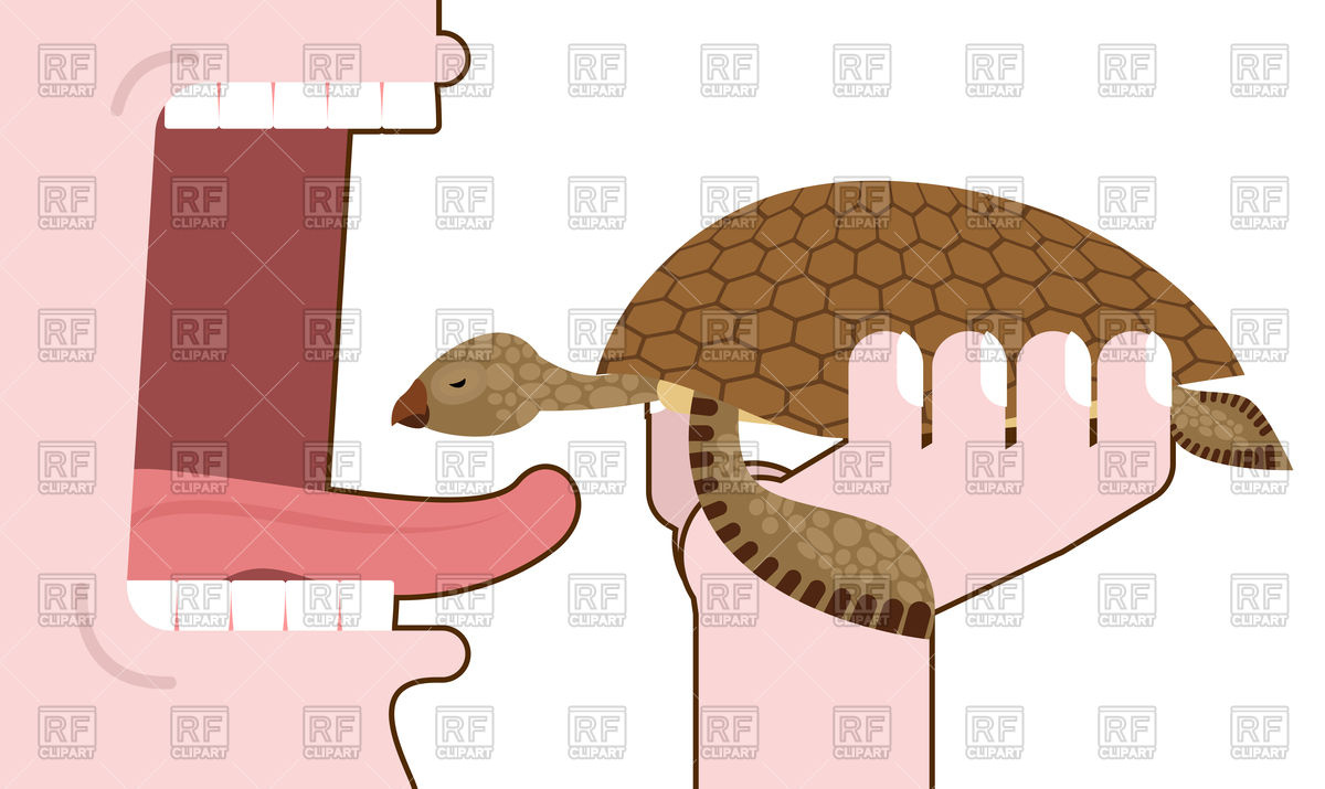 1200x715 Man Eating Turtle, Destruction Of Amphibians, Open Mouth