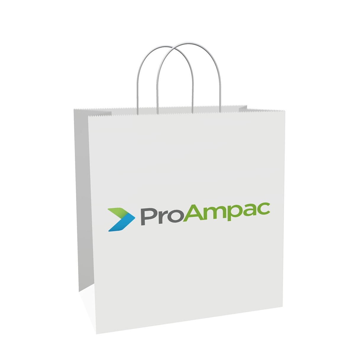 Luxury Shopping Bag Vector 1200x1200 Luxury Shopping Bag Vector