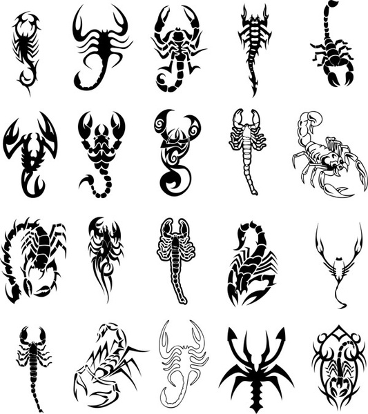 533x600 Scorpion Totem Vector Free Vector In Encapsulated Postscript