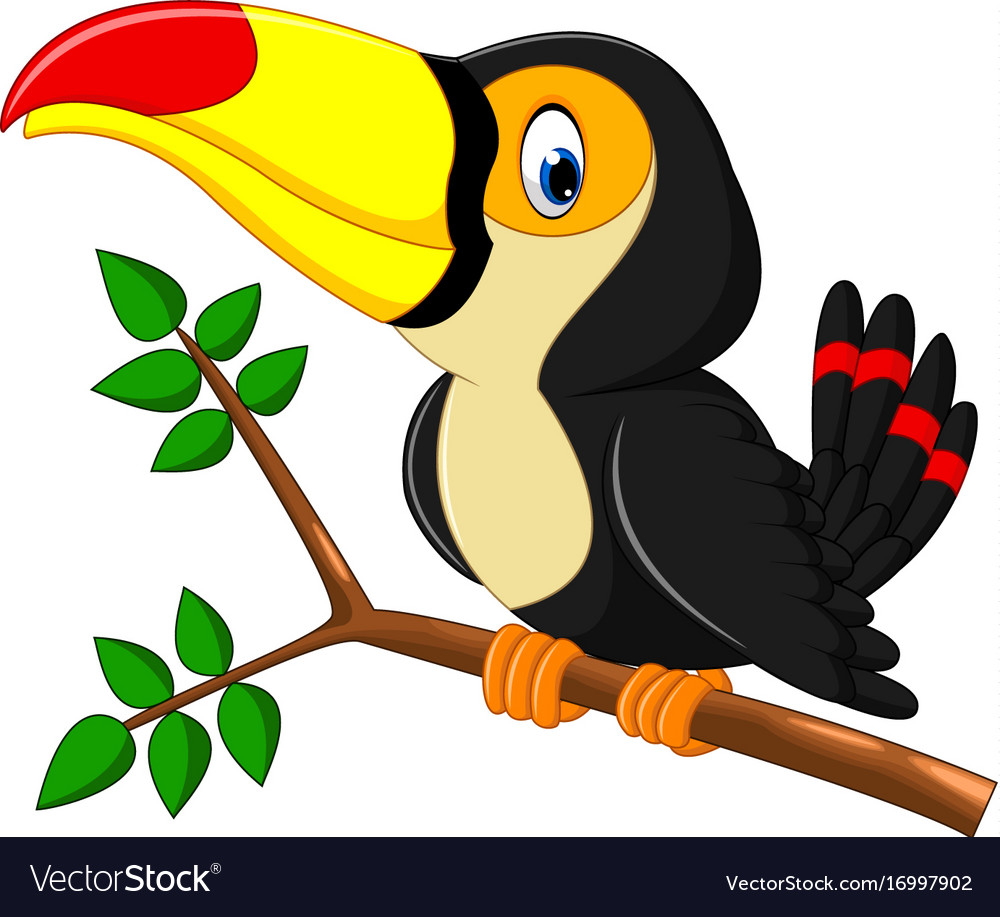 Toucan Vector