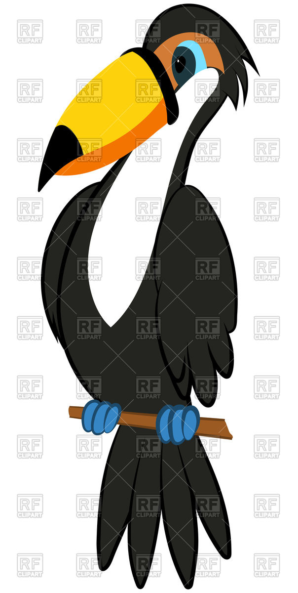 Funny Cartoon Character Toucan Vector Image Of Signs, Symbols 604x1200 Funny Cartoon Character Toucan Vector Image Of Signs, Symbols