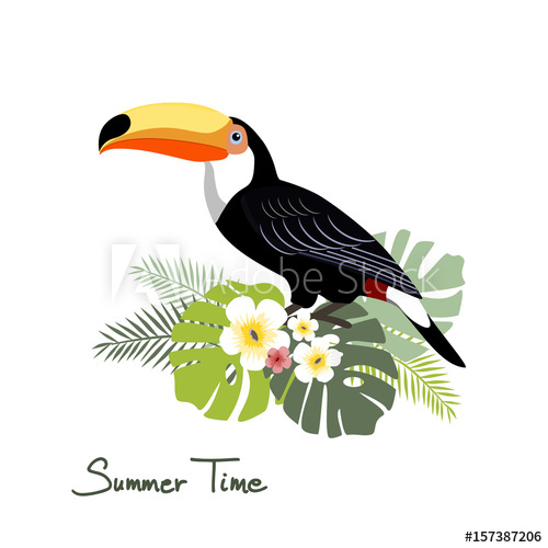 Toucan, Vector Illustration 500x500 Toucan, Vector Illustration