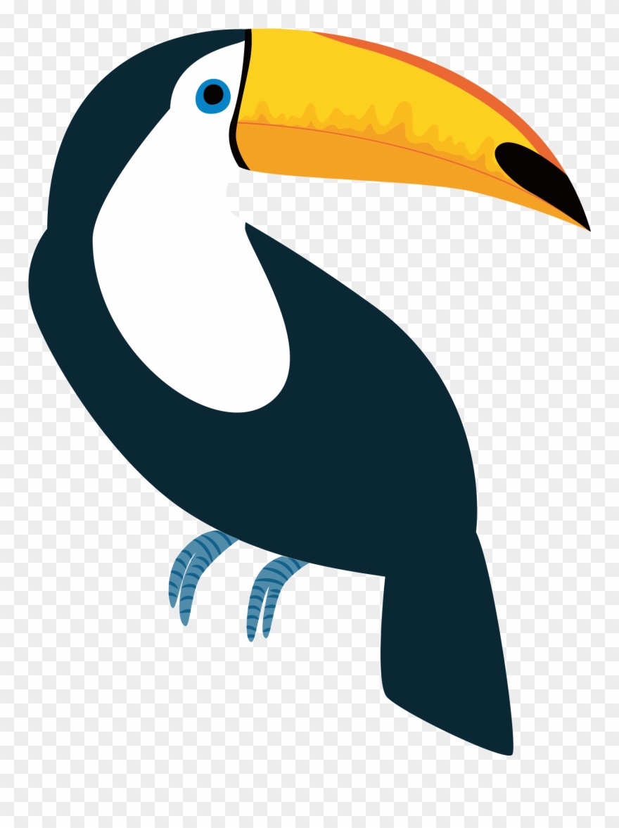 52 Toucan vector images at Vectorified.com