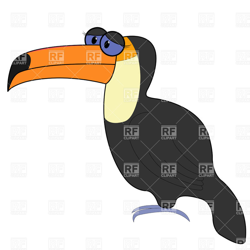 Cartoon Toucan Vector Image Of Plants And Animals Natareal 800x800 Cartoon Toucan Vector Image Of Plants And Animals Natareal