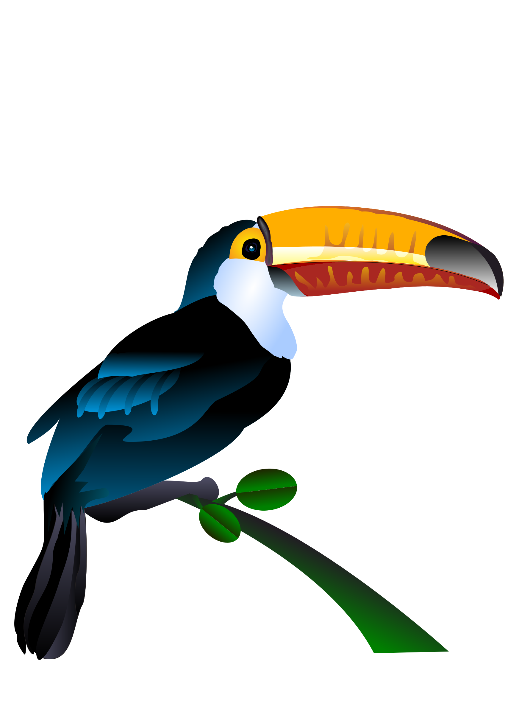 Toucan Vector Art Image 1697x2400 Toucan Vector Art Image