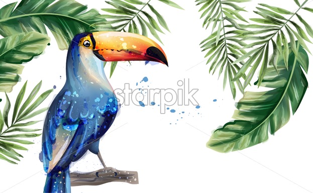 623x384 Toucan Vector Watercolor Tropic Exotic Summer Card With Parrot