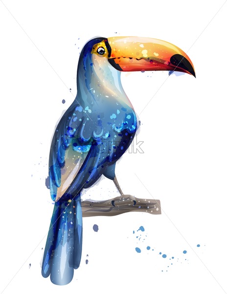 Toucan Vector Watercolor Summer Card With Parrots Design Starpik 464x600 Toucan Vector Watercolor Summer Card With Parrots Design Starpik