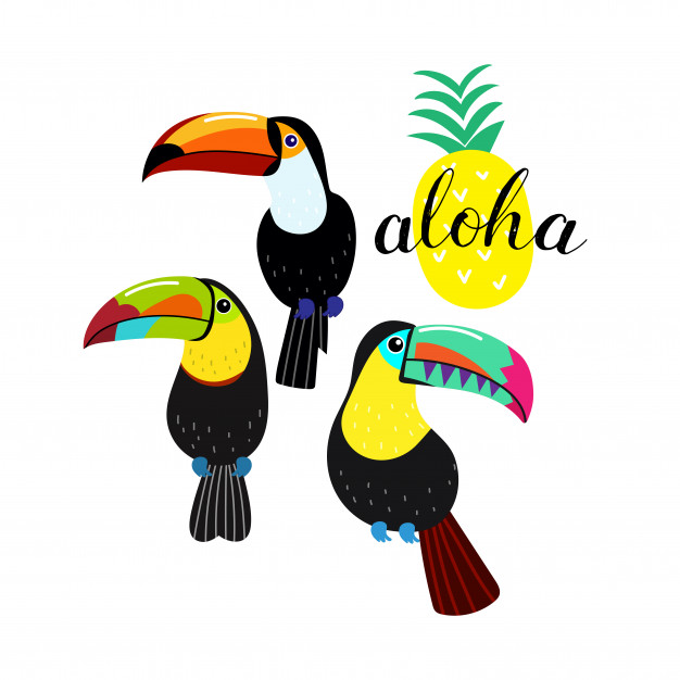 Toucan Vector Vector Premium Download 626x626 Toucan Vector Vector Premium Download