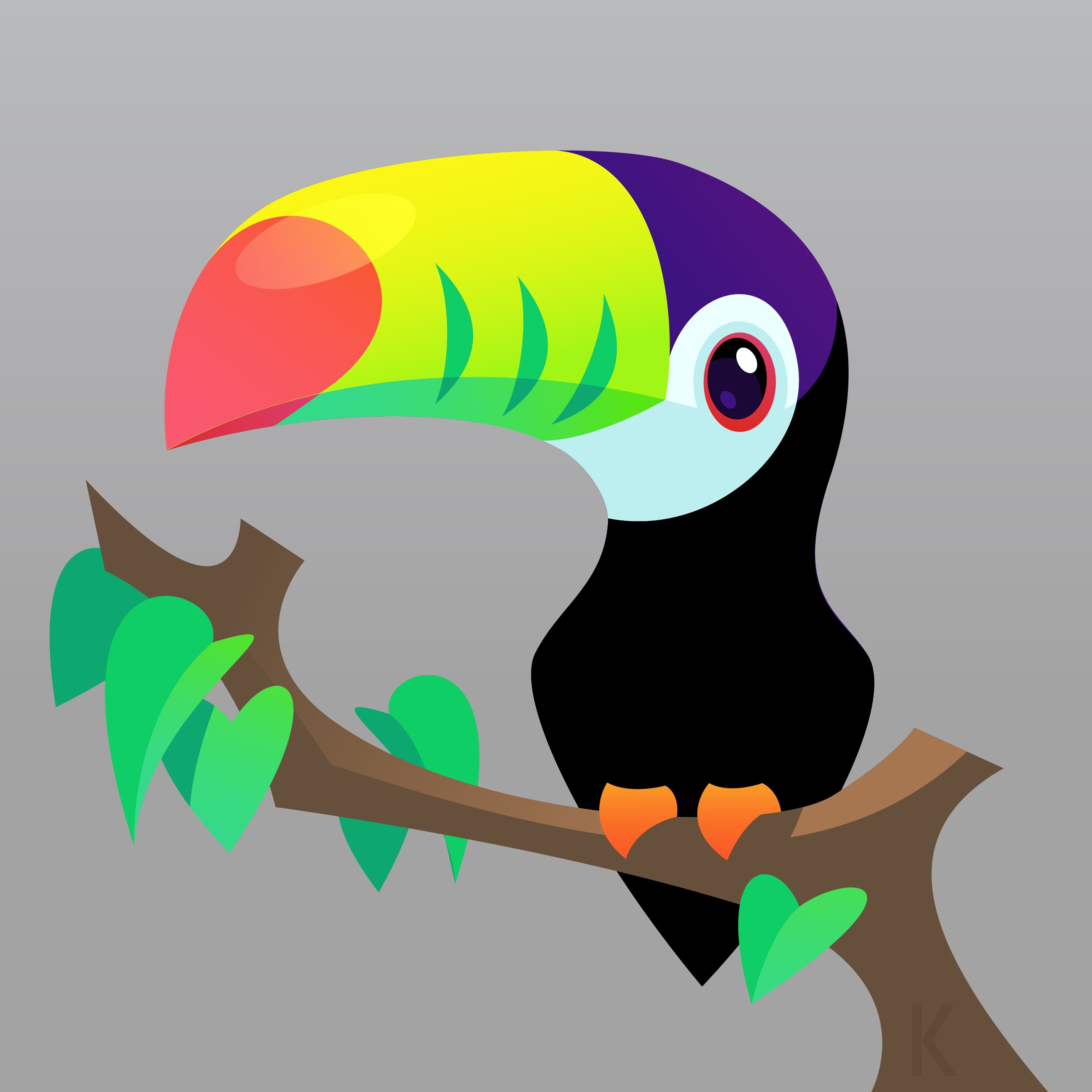 Toucan Vector Drawing 3300x3300 Toucan Vector Drawing
