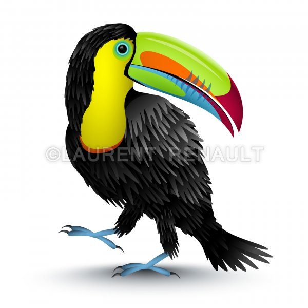 Toucan Vector Stock Images 600x600 Toucan Vector Stock Images