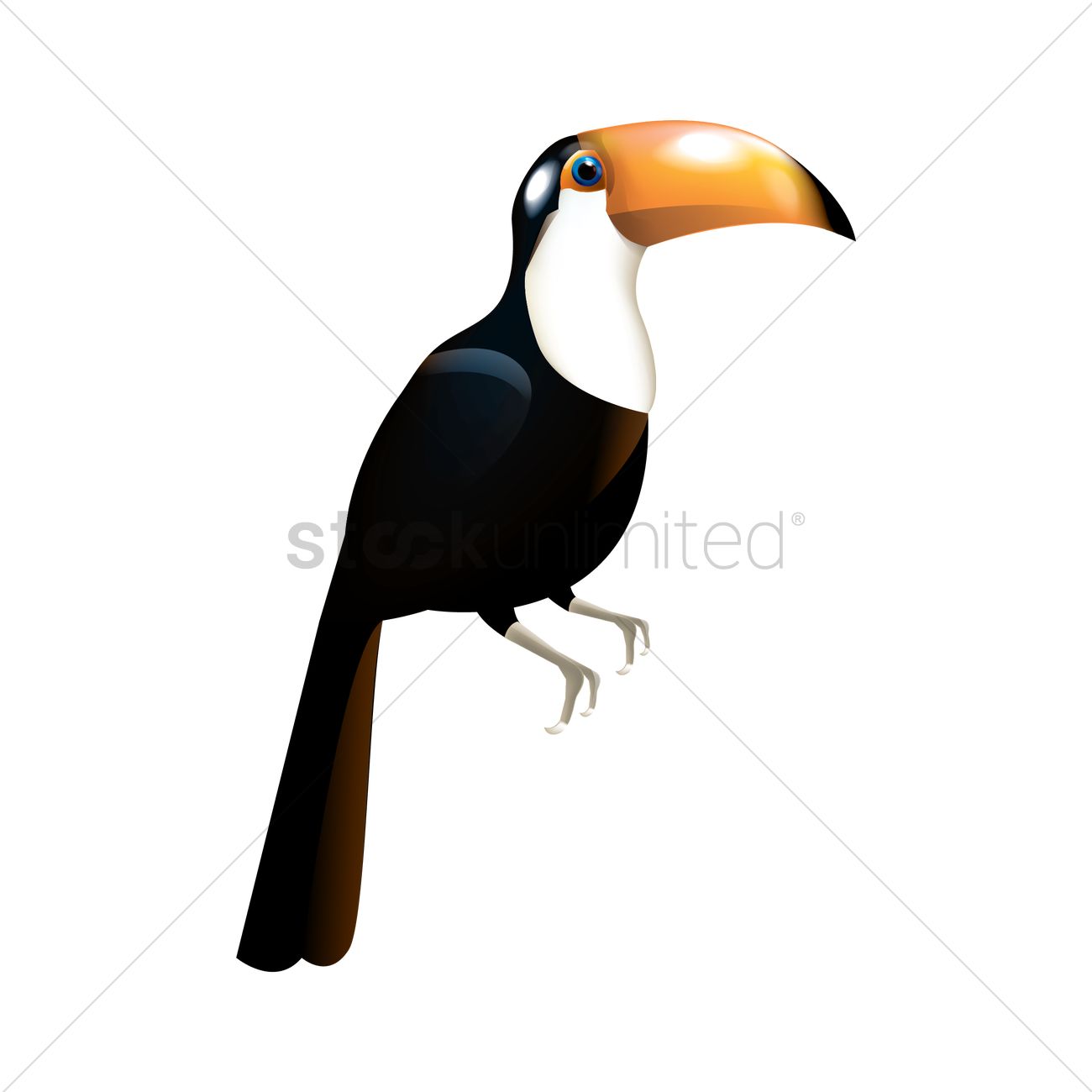 Free Toco Toucan Vector Image 1300x1300 Free Toco Toucan Vector Image