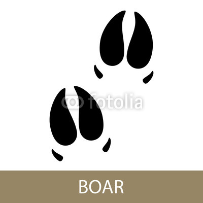 Track Of Forest Animal,trace Of A Predatory Animal Boar, Vector 400x400 Track Of Forest Animal,trace Of A Predatory Animal Boar, Vector