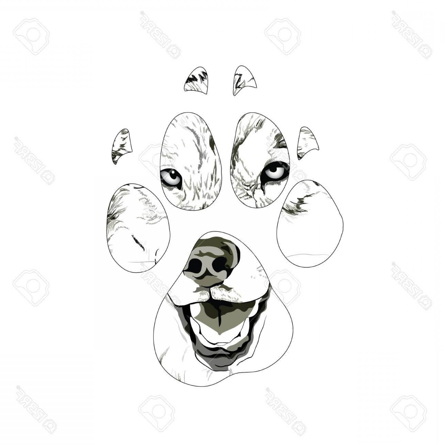 Trail Vector Silhouette Hoodamath 1560x1560 Trail Vector Silhouette Hoodamath