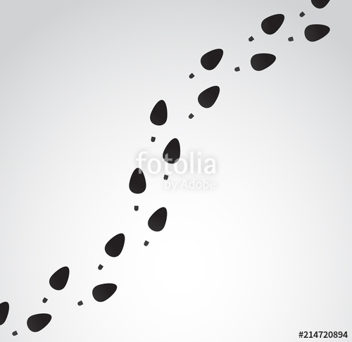 Female High Heels Trail 500x486 Female High Heels Trail