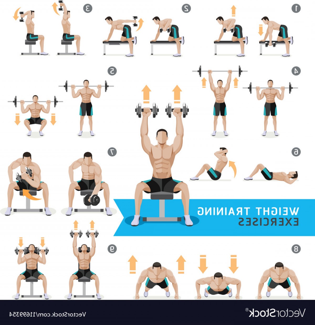 1200x1240 Dumbbell Exercises And Workouts Weight Training Vector Handandbeak