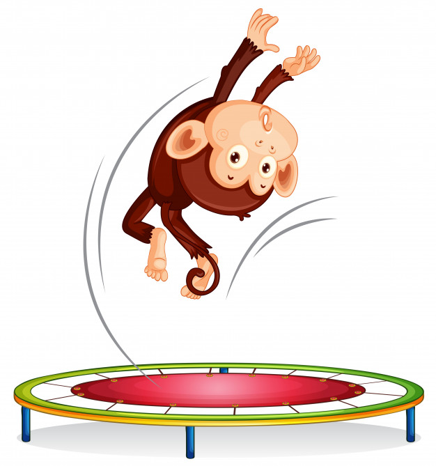 626x669 A Monkey Jumping On Trampoline Vector Premium Download