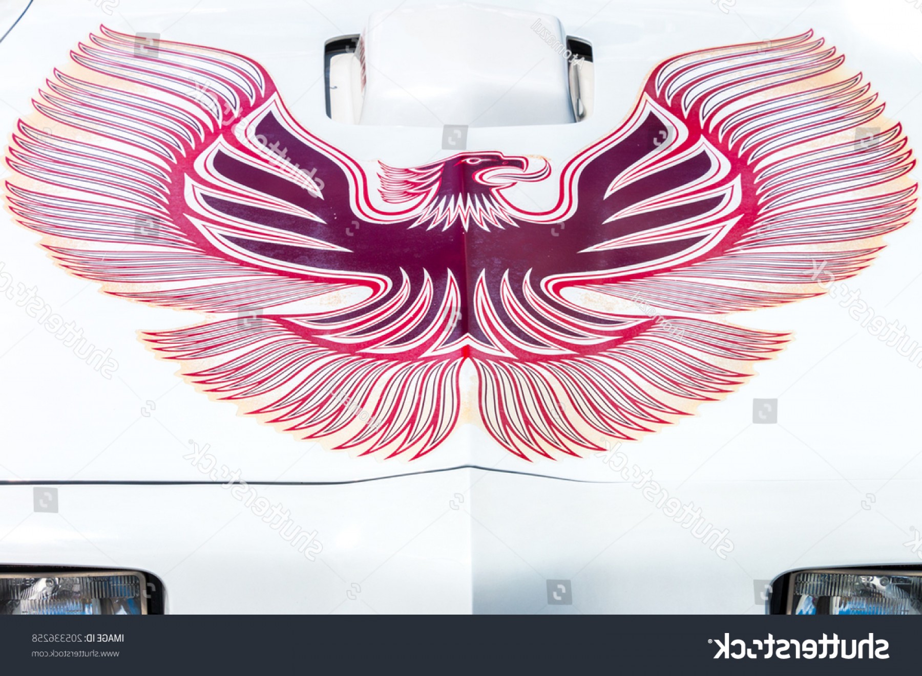 1800x1321 Mississauga Canada July Front Handandbeak