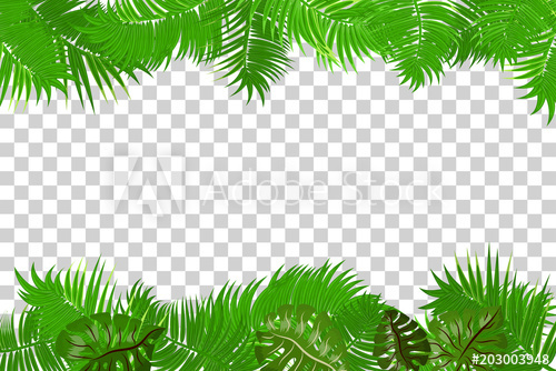 500x334 Web Summer Jungle Frame Banner Green Palm Leaves Template