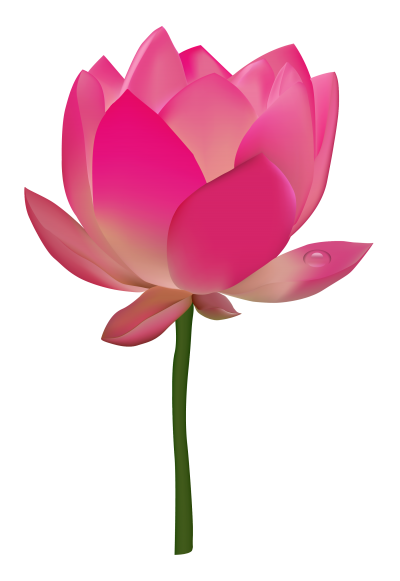 400x581 Lotus Flower Png Transparent Vector