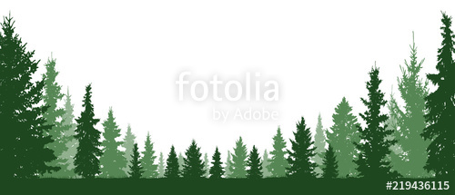 500x215 Forest Evergreen, Coniferous Trees, Silhouette Vector Background