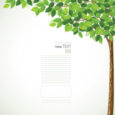 456x456 Free Green Spring Tree Background With Leaves