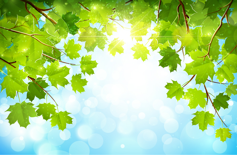 800x524 Plane Tree Background Vector Free Vector Background Download