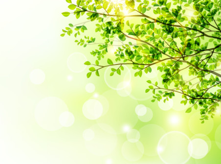 452x336 Spring Trees And Sun Vector Free Vector Background Download