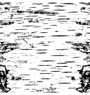 Tree Bark Vector