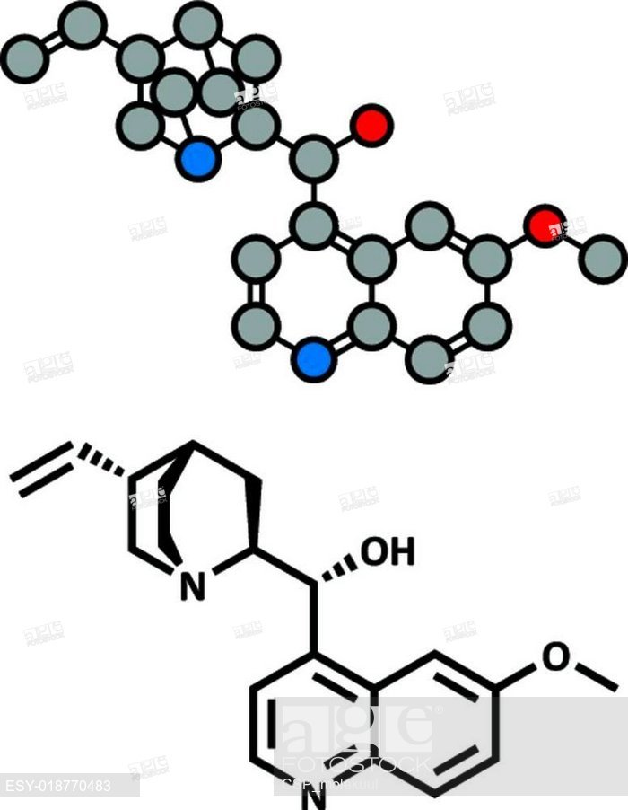 700x902 Quinine Malaria Drug Molecule Isolated From Cinchona Tree Bark