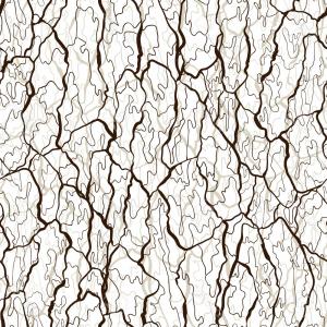 300x300 Stock Photo Rough Tree Bark Texture Vector Image Cultracing