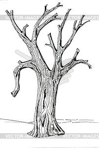 201x300 Texture Of Tree Bark