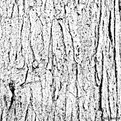 500x500 Tree Bark Texture