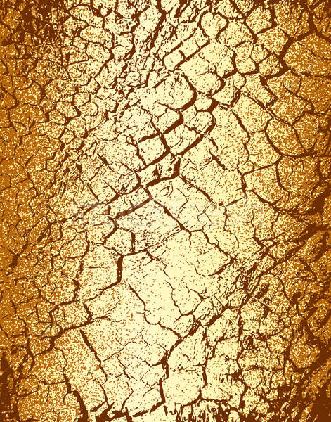 471x600 Treebark Vector Illustration Robert Adrian Hillman