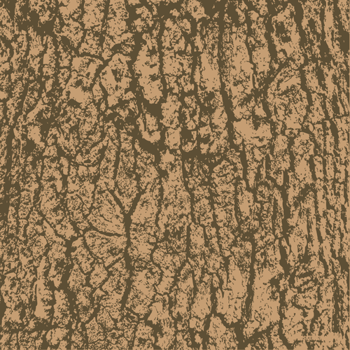 500x500 Buy Vector Tree Bark Wood Surface Pattern Royalty Free Vectors
