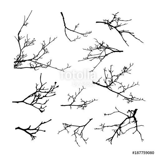Realistic Set Of Tree Branches Silhouette 500x500 Realistic Set Of Tree Branches Silhouette