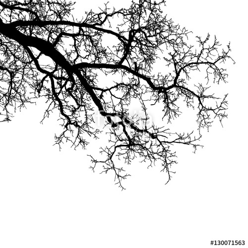 Tree Branch Silhouette Vector At Vectorified.com 