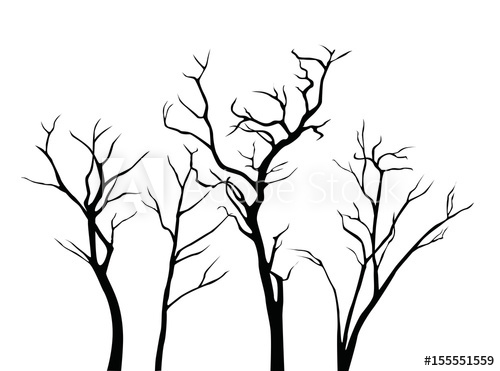 Set Of Black Vector Tree Branches Silhouettes Isolated On White 500x371 Set Of Black Vector Tree Branches Silhouettes Isolated On White