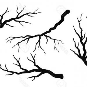 Tree Branches With Leaves Silhouette Vector Cqrecords 300x300 Tree Branches With Leaves Silhouette Vector Cqrecords