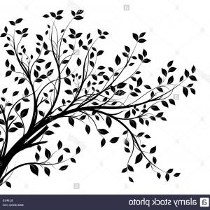 Vector Tree Silhouette Isolated On White Background Gm Savoyuptown 300x300 Vector Tree Silhouette Isolated On White Background Gm Savoyuptown