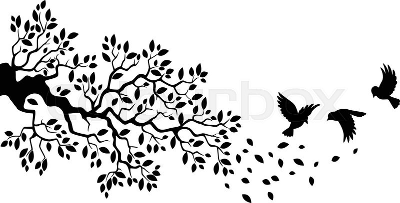 Vector Illustration Of Cartoon Tree Stock Vector Colourbox 800x407 Vector Illustration Of Cartoon Tree Stock Vector Colourbox