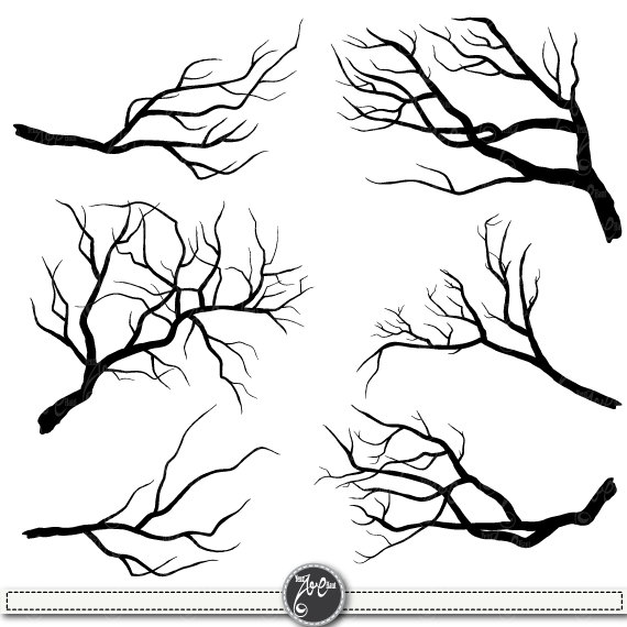 Collection Of 'clipart Tree Branch Silhouette' Download More Than 570x570 Collection Of 'clipart Tree Branch Silhouette' Download More Than