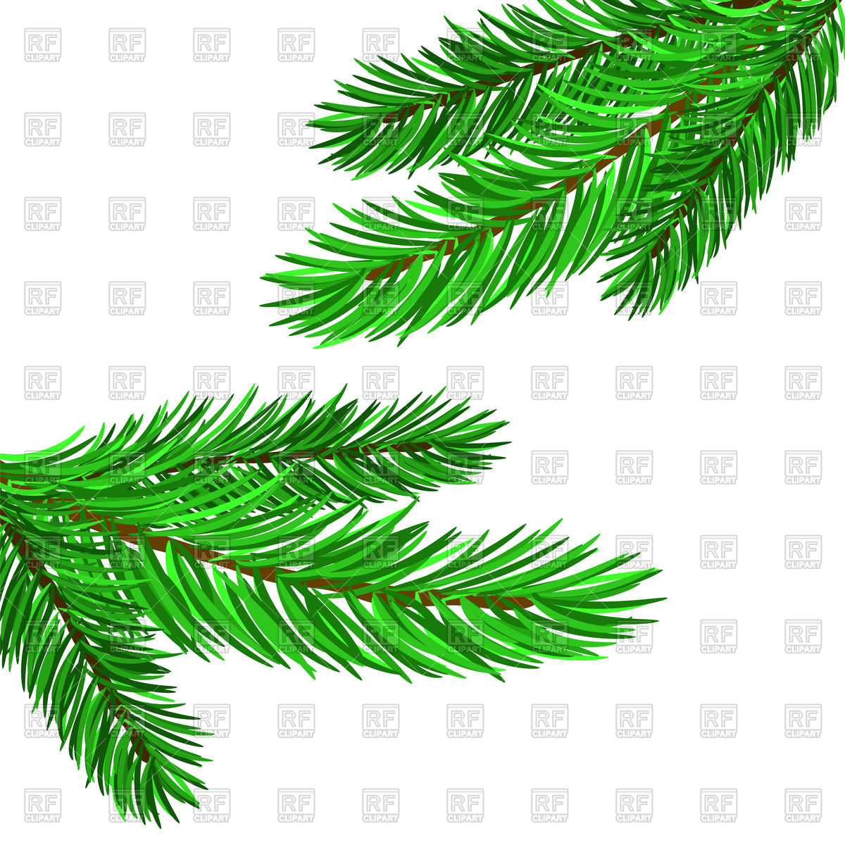 Fir Tree Branches Vector Image Of Plants And Animals 1200x1200 Fir Tree Branches Vector Image Of Plants And Animals