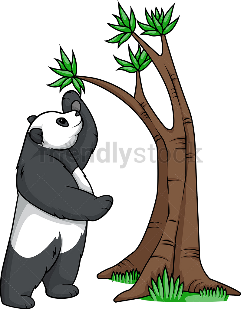 Panda Bear Reaching Tree Branch Cartoon Clipart Vector 796x1020 Panda Bear Reaching Tree Branch Cartoon Clipart Vector