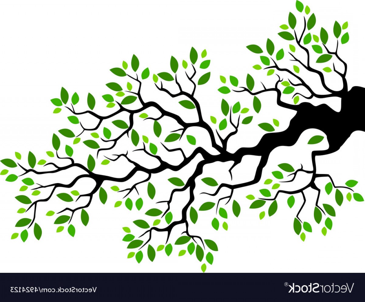 Tree Branch Vector Cqrecords 1200x993 Tree Branch Vector Cqrecords