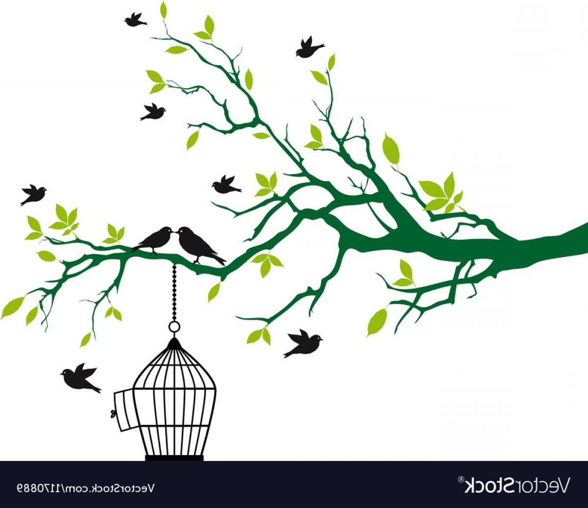 Tree Branch With Birds And Birdcage Vector Cqrecords 1200x1036 Tree Branch With Birds And Birdcage Vector Cqrecords