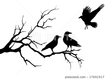 Ravens On Halloween Tree Branch, Vector 450x333 Ravens On Halloween Tree Branch, Vector