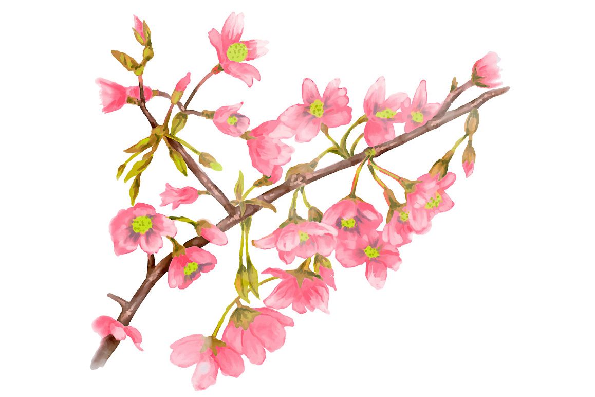 Watercolor Spring Tree Branch Vector 1158x772 Watercolor Spring Tree Branch Vector