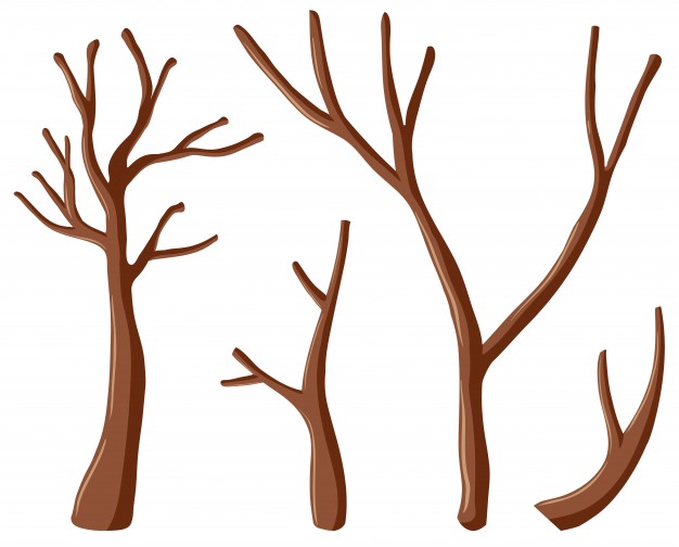 Branch Vectors, Photos And Free Download 626x504 Branch Vectors, Photos And Free Download